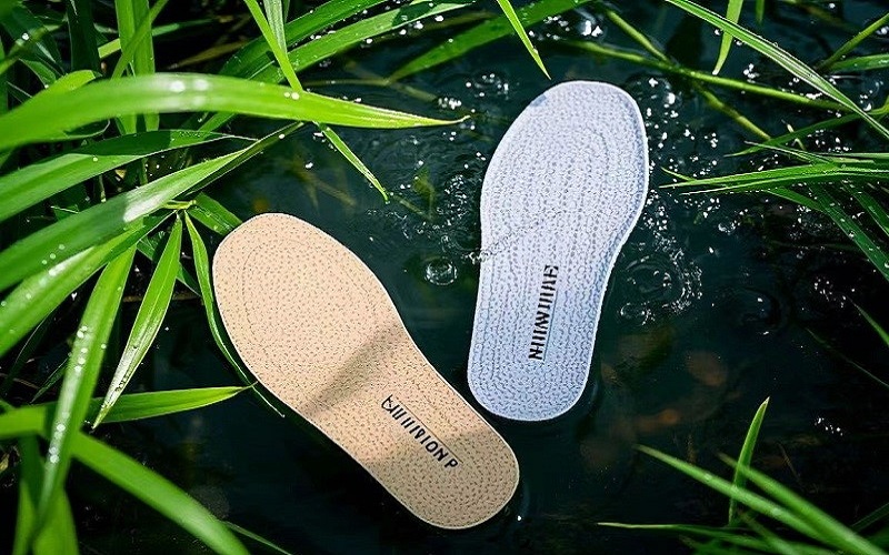 Why Can the Best Anti-odor  Insoles Be Identified in Humid Environments